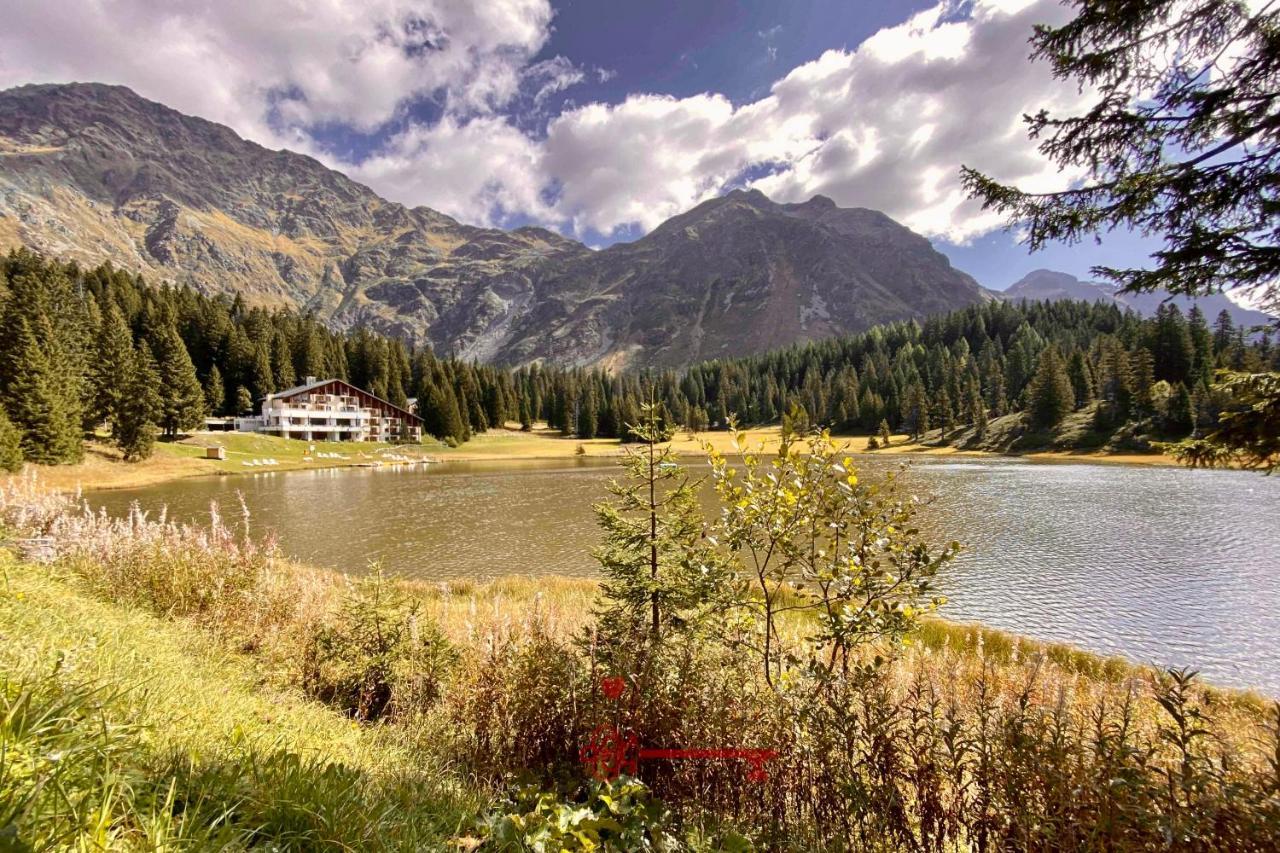 Chalet 5 Stars In San Bernardino, Ski Slopes And Hiking, Fireplace, 4 Snowtubes Free, Wi-Fi Free, For 8 Persons, Wonderful In All Seasons -By Easylife Swiss Bagian luar foto